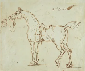 Ein Rennpferd, gezäumt und gesattelt